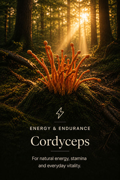 Coryceps-card-web-Misty-Haven